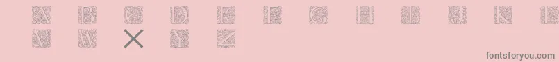 Torynitialen-Schriftart – Graue Schriften auf rosa Hintergrund