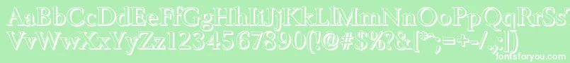 BelfastshadowMediumRegular Font – White Fonts on Green Background