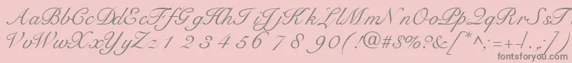 TangoscriptsskRegular Font – Gray Fonts on Pink Background