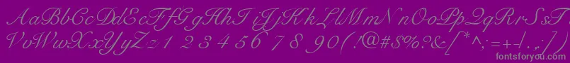 TangoscriptsskRegular-Schriftart – Graue Schriften auf violettem Hintergrund