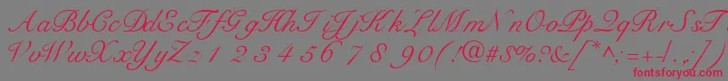 TangoscriptsskRegular Font – Red Fonts on Gray Background