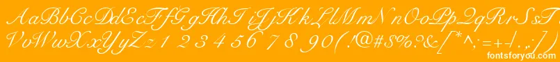 TangoscriptsskRegular Font – White Fonts on Orange Background