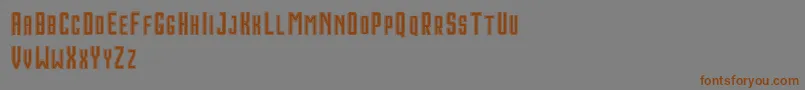 HoustonDoubleDemo-fontti – ruskeat fontit harmaalla taustalla