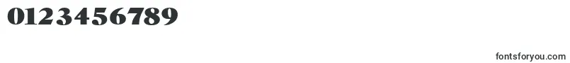 HorshamserialHeavyRegular Font – Fonts for Numbers and Digits