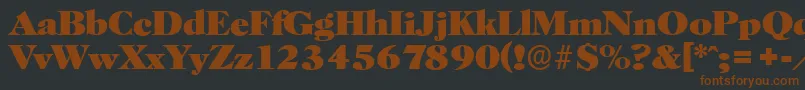 HorshamserialHeavyRegular-fontti – ruskeat fontit mustalla taustalla