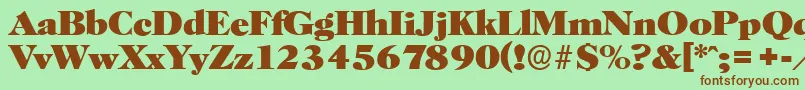 HorshamserialHeavyRegular Font – Brown Fonts on Green Background