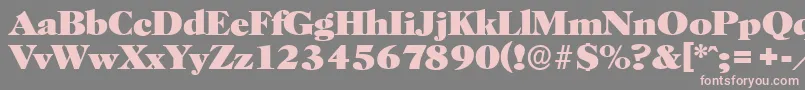 HorshamserialHeavyRegular Font – Pink Fonts on Gray Background