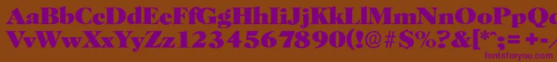 HorshamserialHeavyRegular Font – Purple Fonts on Brown Background