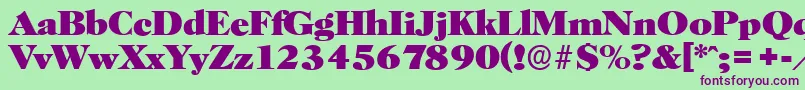 HorshamserialHeavyRegular Font – Purple Fonts on Green Background