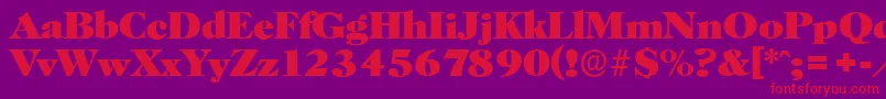 HorshamserialHeavyRegular Font – Red Fonts on Purple Background