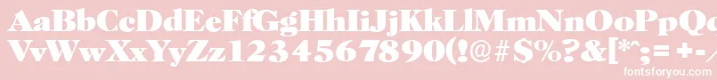 HorshamserialHeavyRegular Font – White Fonts on Pink Background