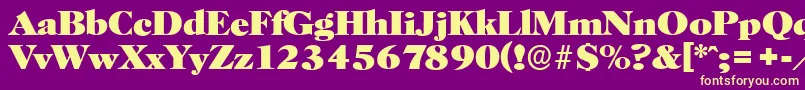 HorshamserialHeavyRegular Font – Yellow Fonts on Purple Background