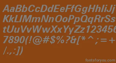 ZurichBoldItalicWin95bt font – Gray Fonts On Brown Background