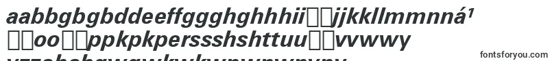 ZurichBoldItalicWin95bt Font – Igbo Fonts
