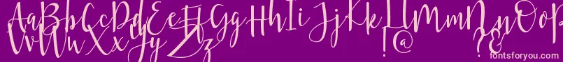 Violette Font – Pink Fonts on Purple Background