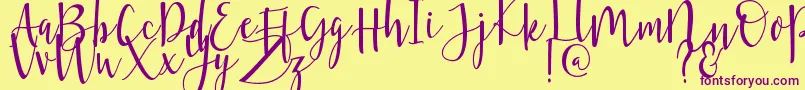Violette-Schriftart – Violette Schriften auf gelbem Hintergrund