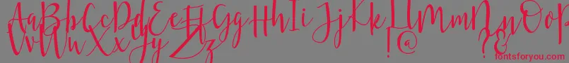 Violette Font – Red Fonts on Gray Background