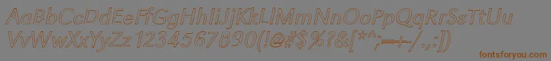 GroteskouLightItalic Font – Brown Fonts on Gray Background
