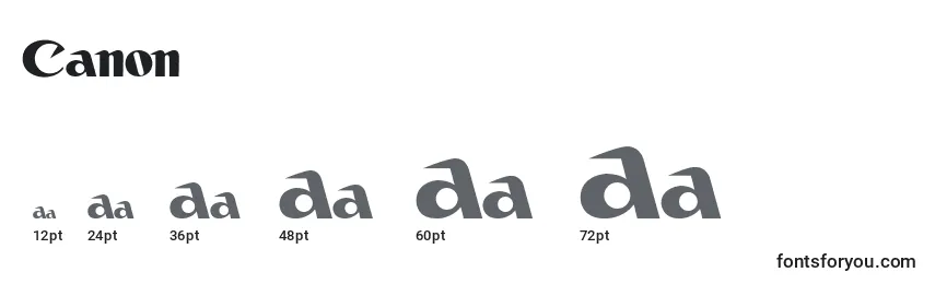 Размеры шрифта Canon