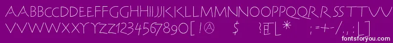 SteinantikLight Font – White Fonts on Purple Background