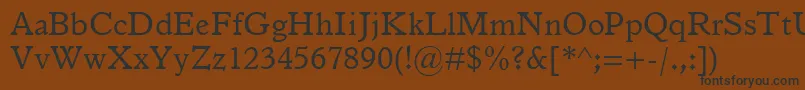 ItalianOldStyleMt Font – Black Fonts on Brown Background