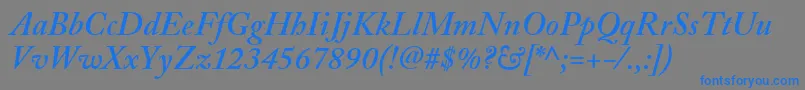 AdobeCaslonSemiboldItalic Font – Blue Fonts on Gray Background