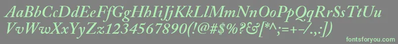 AdobeCaslonSemiboldItalic-fontti – vihreät fontit harmaalla taustalla