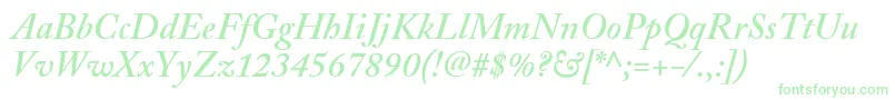 AdobeCaslonSemiboldItalic Font – Green Fonts