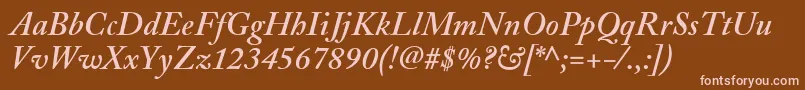 AdobeCaslonSemiboldItalic Font – Pink Fonts on Brown Background