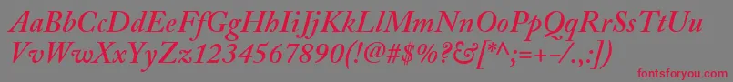 AdobeCaslonSemiboldItalic Font – Red Fonts on Gray Background