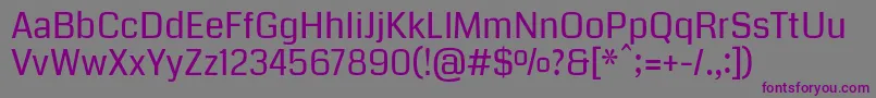 CodaRegular Font – Purple Fonts on Gray Background