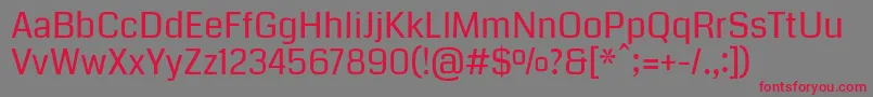 CodaRegular Font – Red Fonts on Gray Background