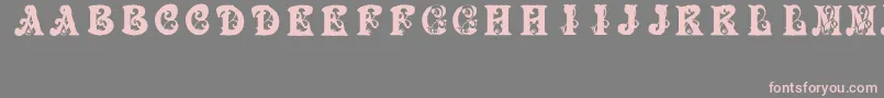 Police BabyPirate – polices roses sur fond gris