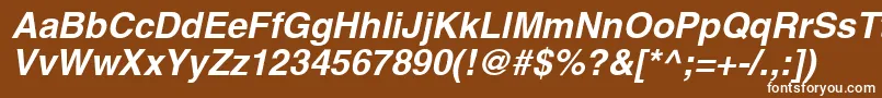 フォントSansBolditalic – 茶色の背景に白い文字