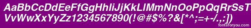 SansBolditalic Font – White Fonts on Purple Background