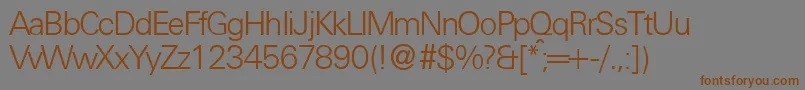 Шрифт UniversallgtdbNormal – коричневые шрифты на сером фоне