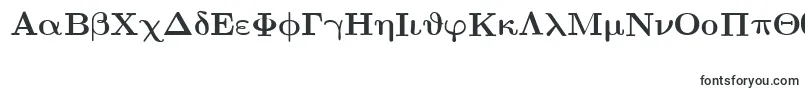 EuclidSymbolBold Font – Fonts for Google Chrome