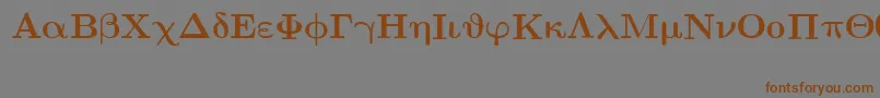 EuclidSymbolBold Font – Brown Fonts on Gray Background