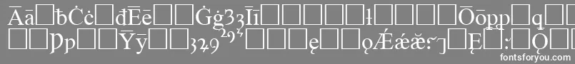 TimesOldEnglishRegular-Schriftart – Weiße Schriften auf grauem Hintergrund