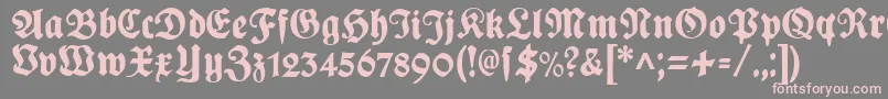 PlakatFraktur Font – Pink Fonts on Gray Background