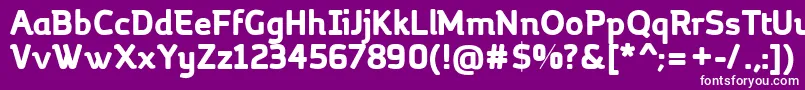 MargotBold Font – White Fonts on Purple Background
