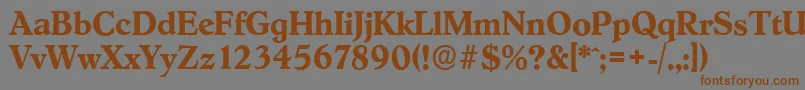 HobokenserialBold Font – Brown Fonts on Gray Background