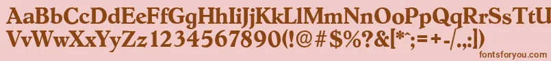 HobokenserialBold Font – Brown Fonts on Pink Background