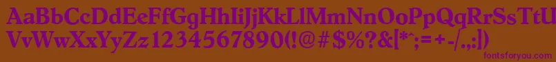 HobokenserialBold Font – Purple Fonts on Brown Background