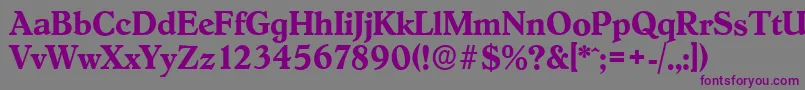 HobokenserialBold-fontti – violetit fontit harmaalla taustalla
