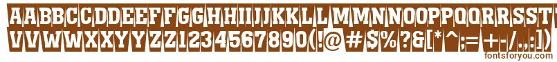 AMonumentottlnrcmswBold Font – Brown Fonts on White Background