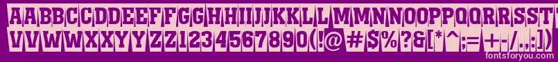 AMonumentottlnrcmswBold Font – Pink Fonts on Purple Background
