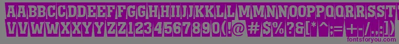 AMonumentottlnrcmswBold-Schriftart – Violette Schriften auf grauem Hintergrund
