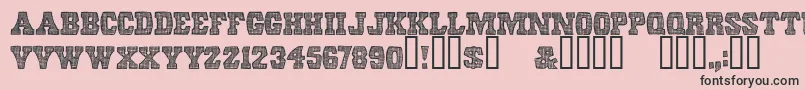 ScreendoorRegular Font – Black Fonts on Pink Background