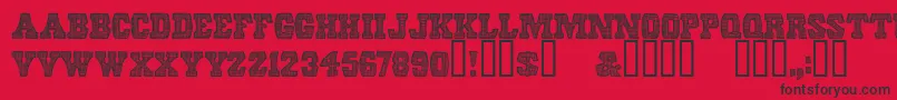 ScreendoorRegular Font – Black Fonts on Red Background